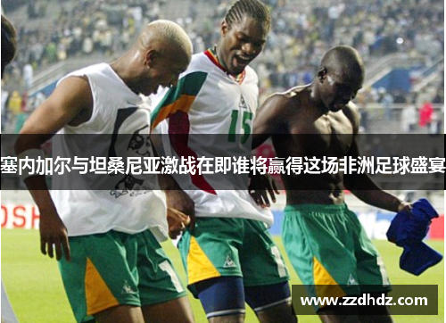 塞内加尔与坦桑尼亚激战在即谁将赢得这场非洲足球盛宴